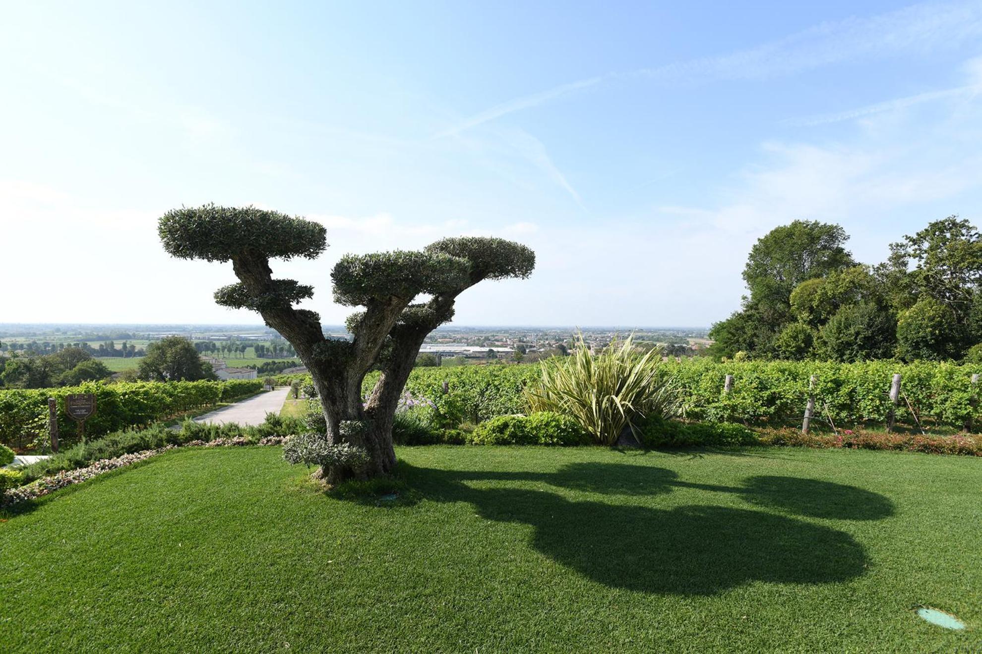 Progress Country & Wine House Asolo Exterior foto